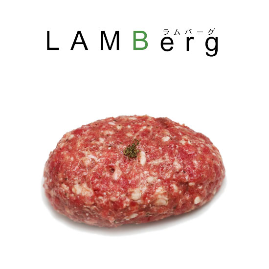 ymXzLAMBergio[Oj