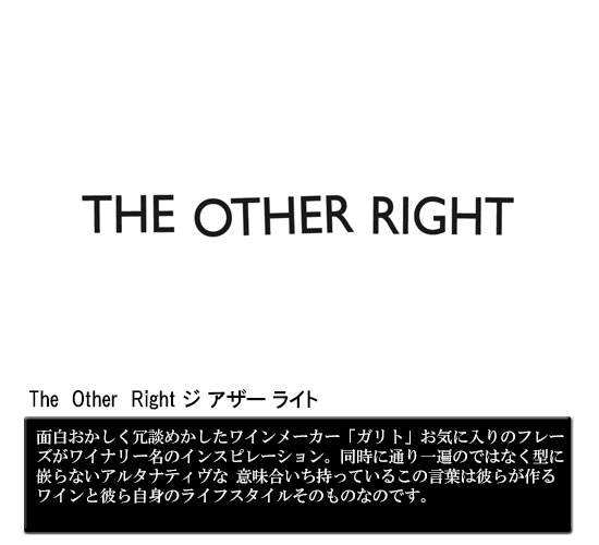 The  Other  Right ジ アザー ライト
